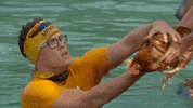 australia GIF by Australian Survivor