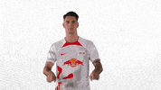 Football Soccer GIF by RB Leipzig