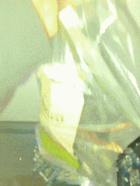 Computer Mac GIF by Alex Boya