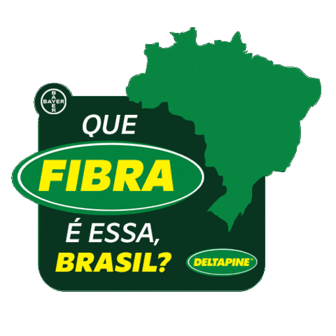Bayer Semente Sticker by Bollgard