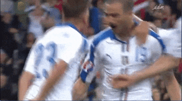 euro 2016 GIF by Sporza
