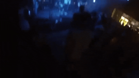 topshelf records prawn GIF