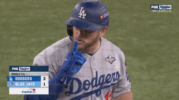 World Series Fox GIF
