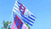 Hanover Panthers GIF by Hanover College