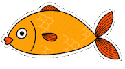 Water Orange Sticker by Raf Sinopoli