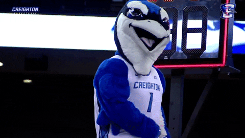 Billy Bluejay GIF by Creighton University Athletics