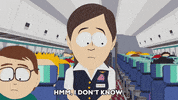 confused airplane GIF by South Park 