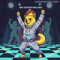 Happy Shiba Inu GIF by Doge Pound