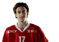 Lhc Lausannehc Sticker by Lausanne Hockey Club