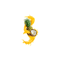 Coconut Sticker by Piña Loka