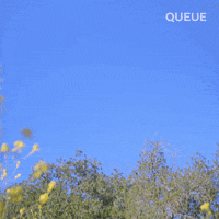 Queue Lee Jung-Jae GIF by NETFLIX