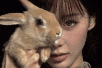 Bunny Stare GIF