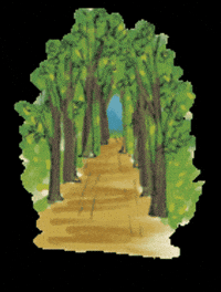 South Korea Travel GIF by vank