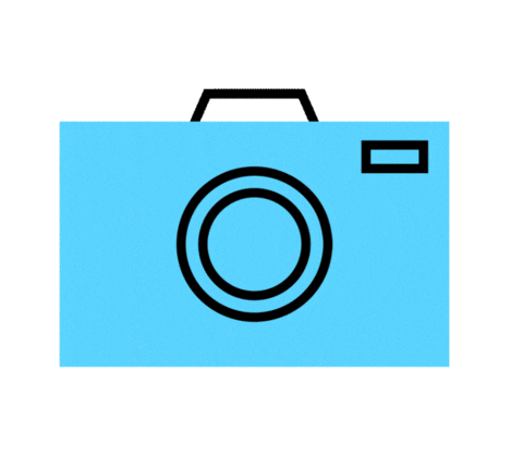 Photography Camera Sticker by Sung & Co