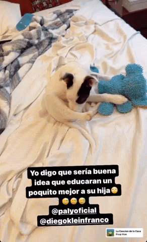 lizzie0323 giphyupload mascotas consueloduval GIF