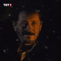 Laugh Smile GIF by TRT
