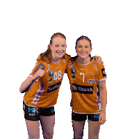 OdenseHaandbold orange handball handbold odense Sticker