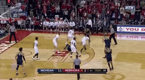 GIF by Michigan Athletics