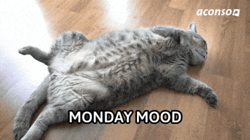 Monday Morning Hr GIF by aconso AG