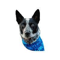 Doctor Who Tardis Sticker by Geekster Pets