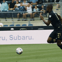 Major League Soccer Football GIF by Philadelphia Union