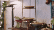 Christmas In July Love GIF by Hallmark Mystery