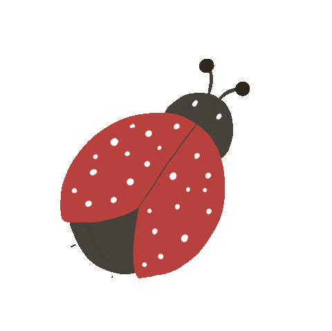 dekleinevogelaar animal insect ladybug Sticker