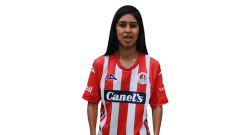 San Luis Soccer Sticker by Atlético de San Luis