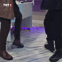Dance Pence GIF by TRT