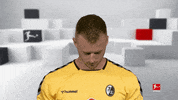 Line Up Smile GIF by Bundesliga