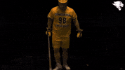 d3lax GIF by CUCougars