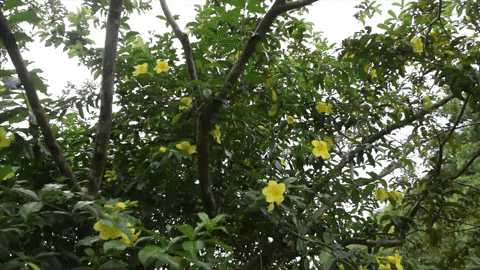 Art Film GIF by jorgemariozuleta