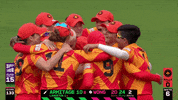 Cricket GIF by The Hundred