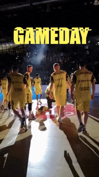 EWE_Baskets basketball bbl gameday oldenburg GIF