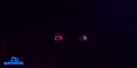 black friday GIF by sparwelt.de