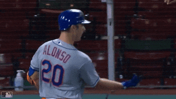 High Five Ny Mets GIF by New York Mets
