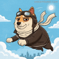 Flying Shiba Inu GIF by Doge Pound