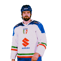 federazioneghiaccio hockey ice wintersport sportinvernali Sticker