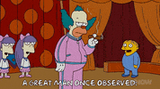 Season 19 Episode 20 GIF by The Simpsons
