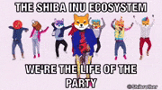 Shiba GIF by SHIB MEMES