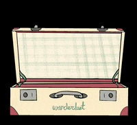 calicocreations travel flower plane airplane GIF