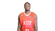Liga Endesa Basketball Sticker by ACB