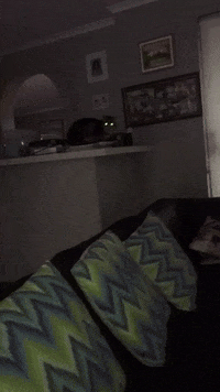 Odie GIF