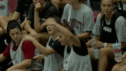 Elbows Dancing GIF by Lafayette Leopards