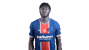 France Sport Sticker by Paris Saint-Germain Handball