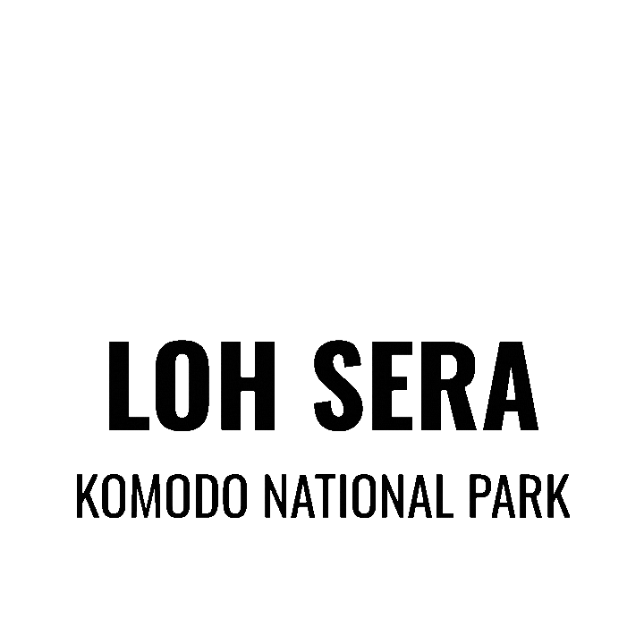 Scubadiving Sticker by Dragon Dive Komodo