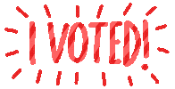 kimsielbeck 2020 vote election i voted Sticker