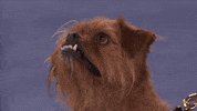 GIF by Hallmark Channel