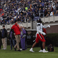 University Of Cincinnati Money GIF by Cincinnati Bearcats