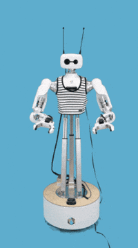 Robot Reachy GIF by pollenrobotics